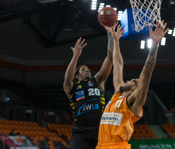 与多样化 与多样化